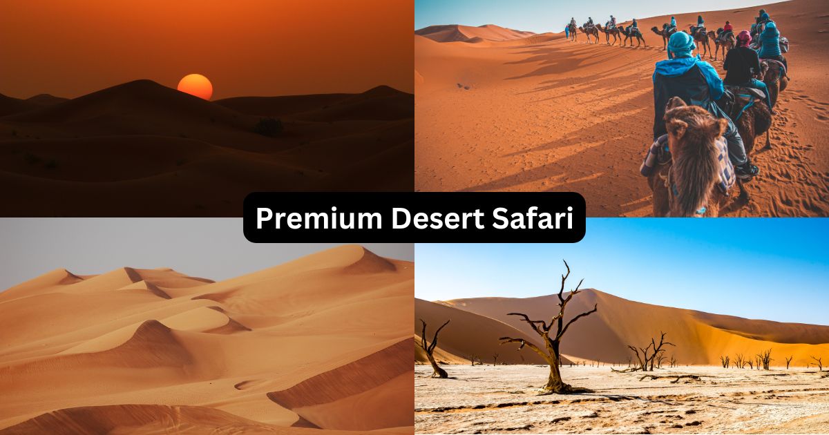 Premium Desert Safari