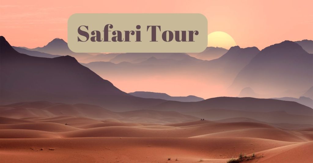 Safari Tour