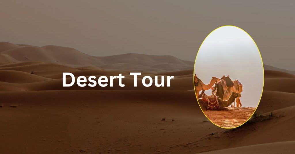 Desert Tour