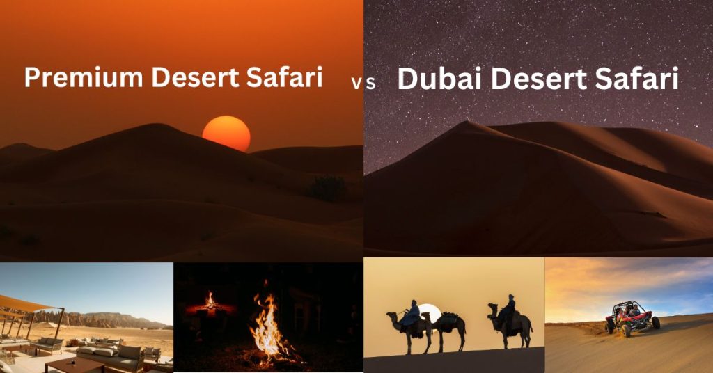 Premium Desert Safari vs Dubai Desert Safari